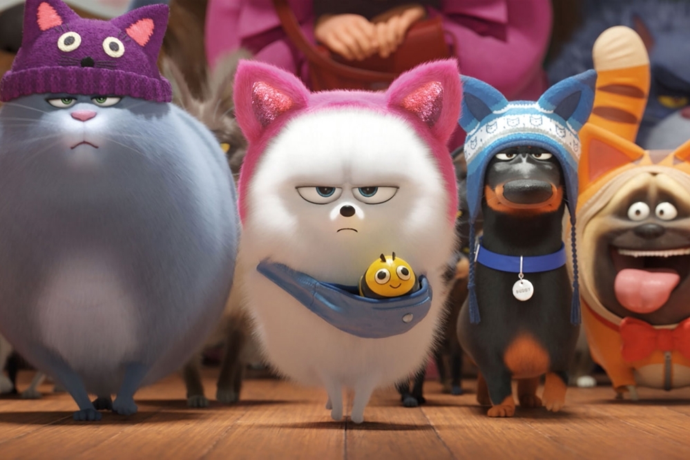 Still 8 for Secret Life of Pets 2, The                                                 