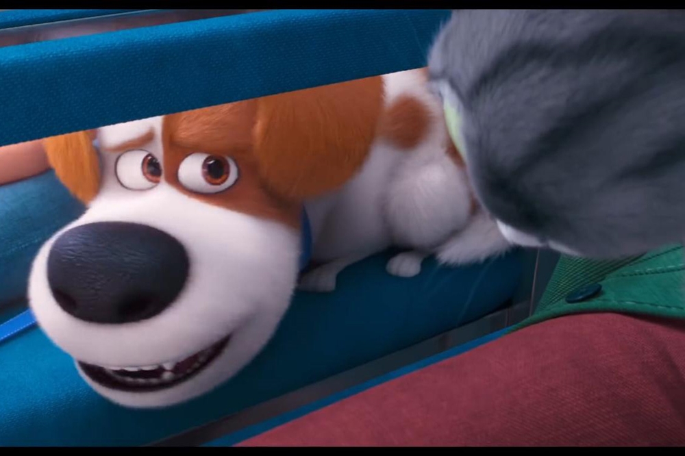 Still 10 for Secret Life of Pets 2, The                                                 