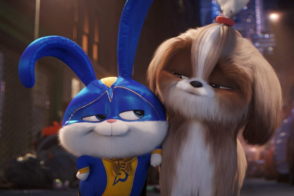 Still 12 for Secret Life of Pets 2, The                                                 