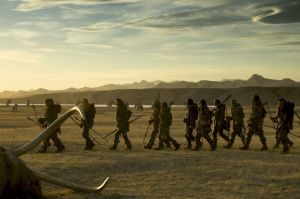 Alpha Still 3