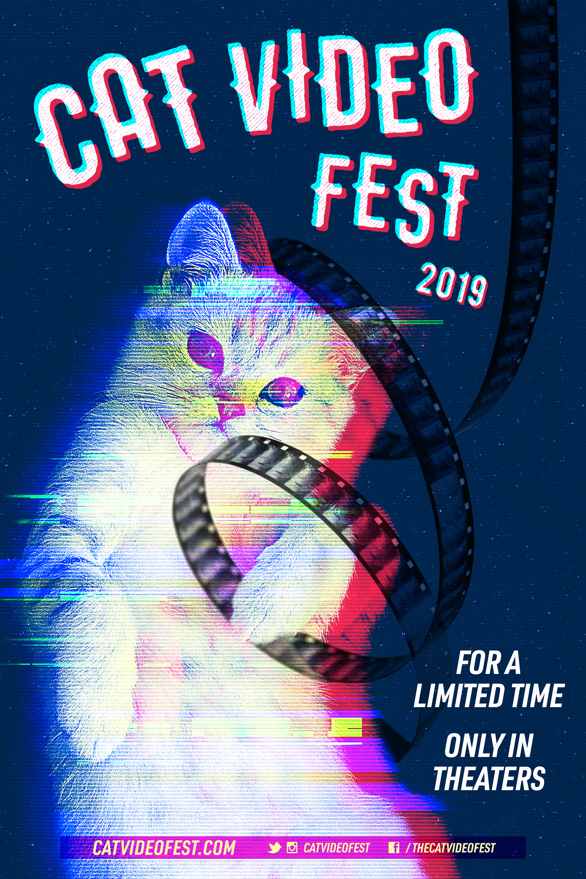 CatVideoFest