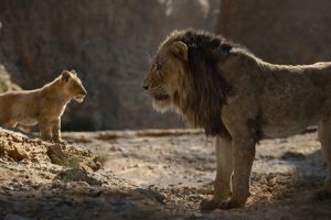 Lion King, The Still 1