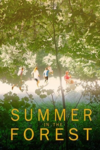 Summer in the Forest Summer in the Forest