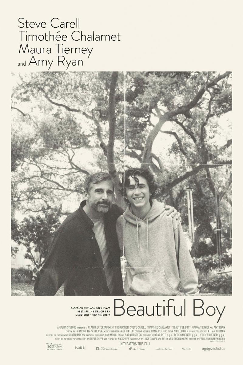 Poster of Beautiful Boy