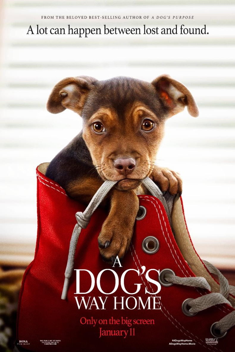 Poster of A Dog's Way Home