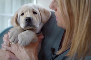Pick of the Litter Still 2