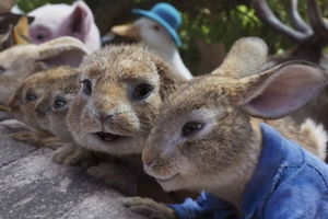 Still 2 for Peter Rabbit 2: The Runaway
