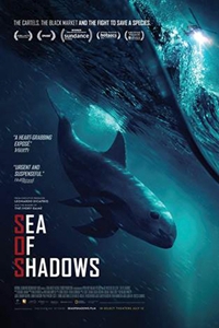 Poster of Sea of Shadows