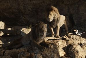 Lion King - An IMAX 3D Experience, The Still 2