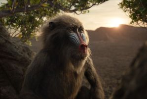 Lion King - An IMAX 3D Experience, The Still 4