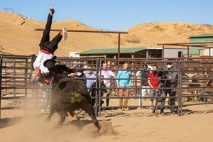 Still 1 for jackass forever