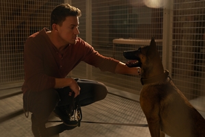 Still #4 forDog