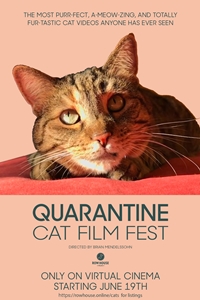 Poster for Quarantine Cat Film Festival