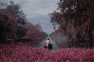Still 2 for Blue Bayou