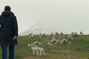 Still 6 for Lamb