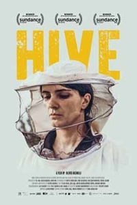 Hive (Zgjoi)