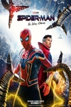 Spider-Man: No Way Home Poster