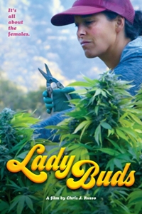 Poster of Lady Buds