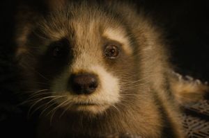 Still 3 for Guardians of the Galaxy Vol. 3