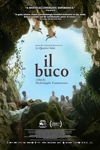 Am Filmography | QuickLook Films