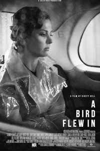 Ni Filmography QuickLook Films