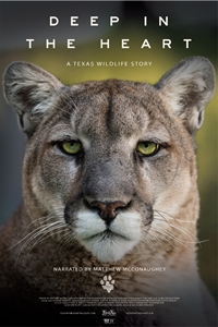 Poster ofDeep in the Heart: A Texas Wildlife Story