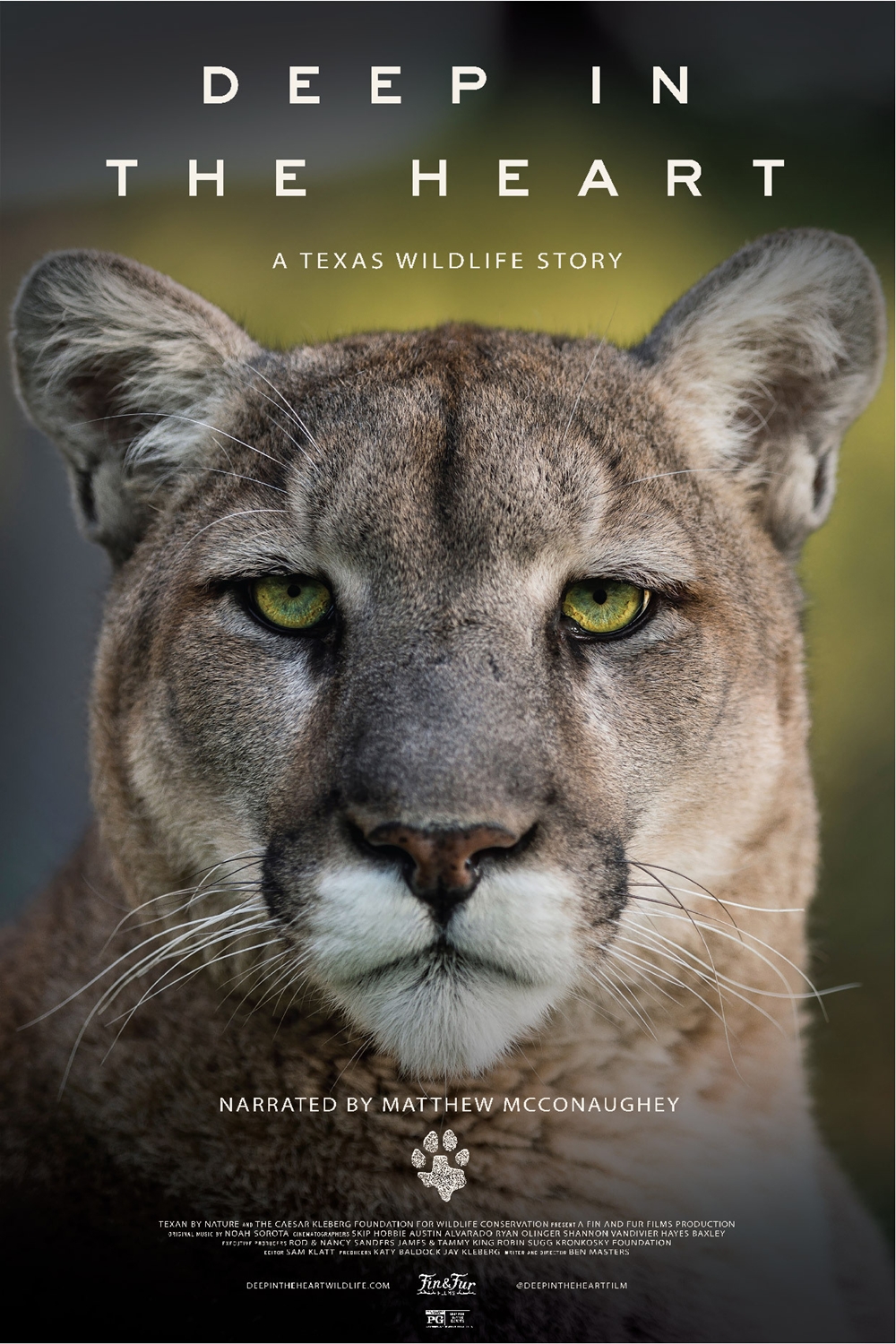 Deep in the Heart: A Texas Wildlife Story Poster