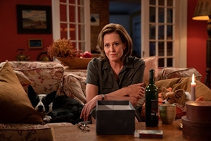 Still 2 for The Good House