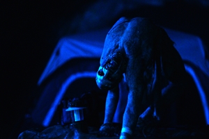 Still 6 for Malibu Horror Story