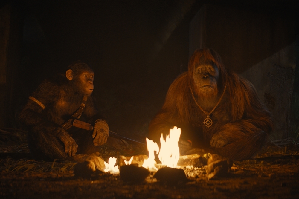 Photo 6 for Kingdom of the Planet of the Apes