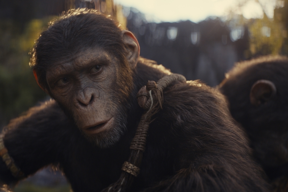 Photo 9 for Kingdom of the Planet of the Apes