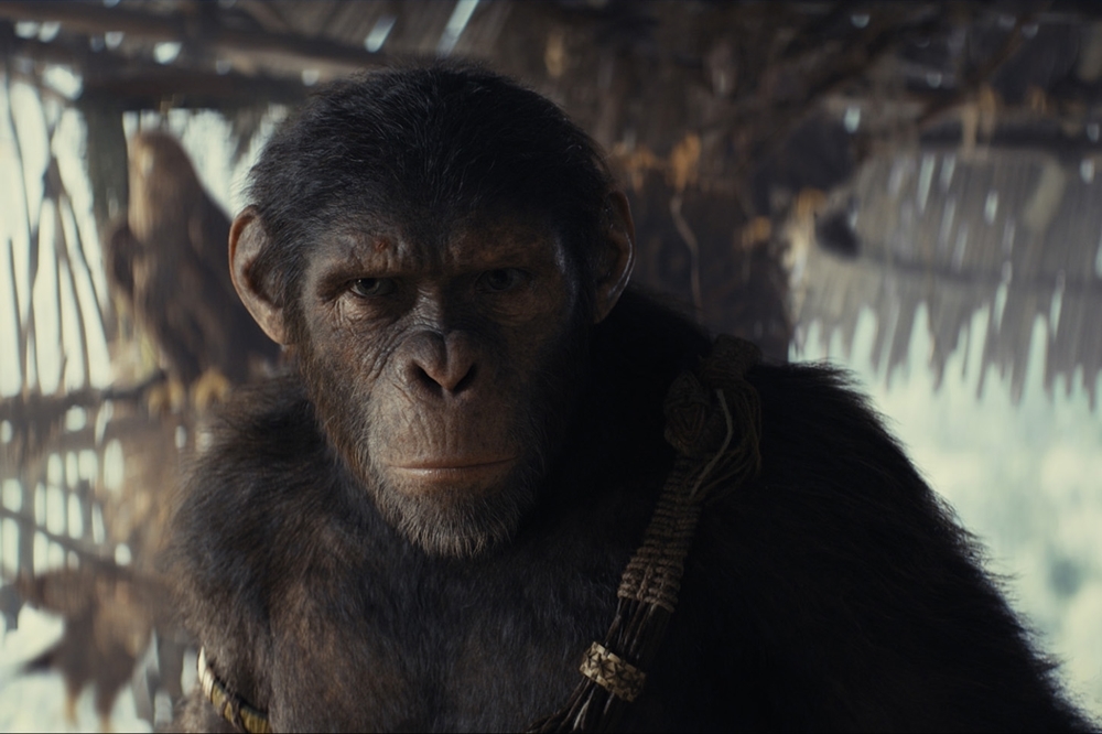 Photo 10 for Kingdom of the Planet of the Apes