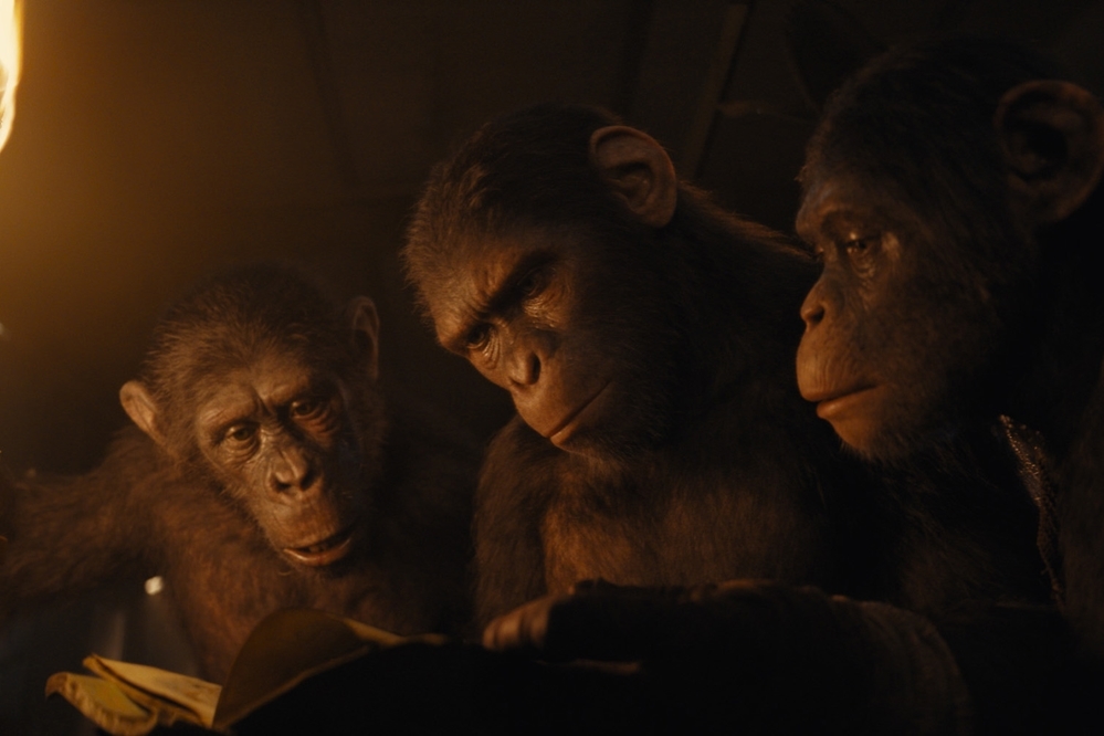 Photo 11 for Kingdom of the Planet of the Apes