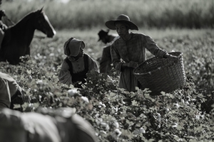Still 2 for Emancipation