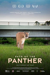 Poster for Path of the Panther