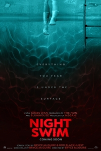 Poster of Night Swim