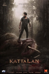 Kattalan