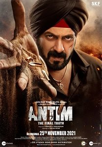 Poster of ANTIM: The Final Truth